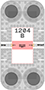 1204WEB