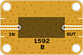 1592_WEB.png